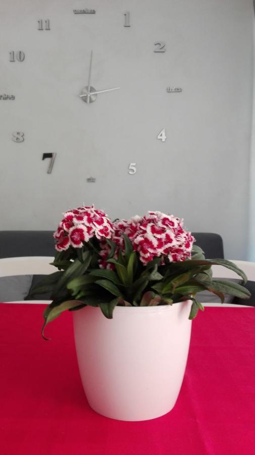 Sweety House San Giovanni Gemini Exterior foto